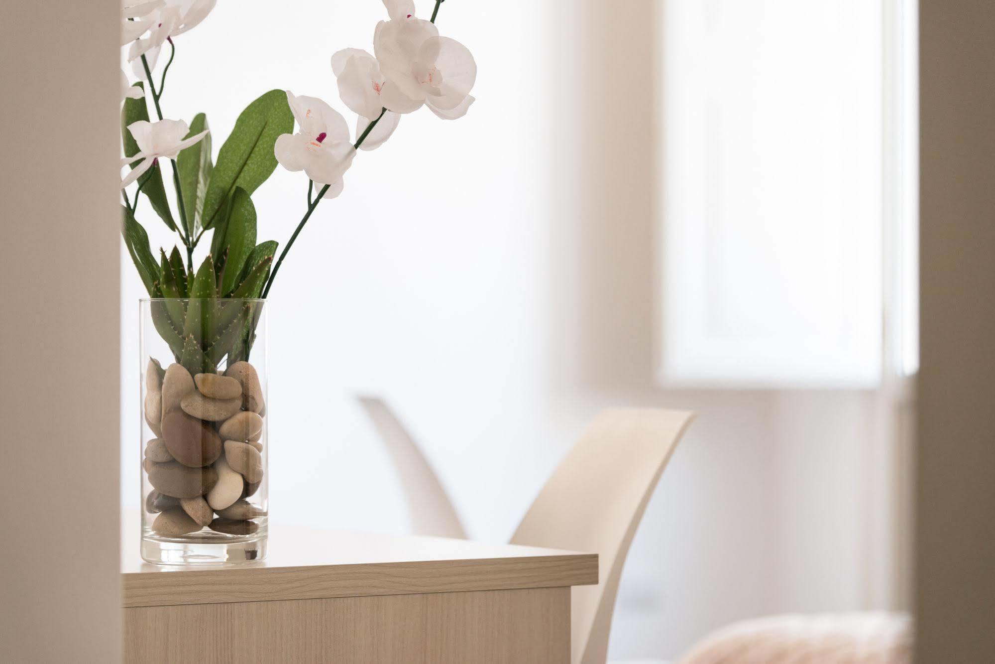 Gatto Bianco La Dimora Storica Bed & Breakfast Lecce Dış mekan fotoğraf